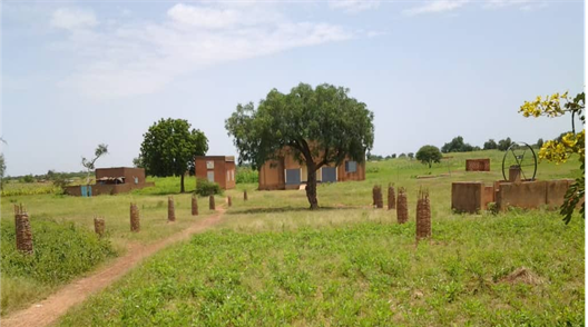 Environnement : plantation de 20 arbres au CSPS