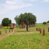 Environnement : plantation de 20 arbres au CSPS