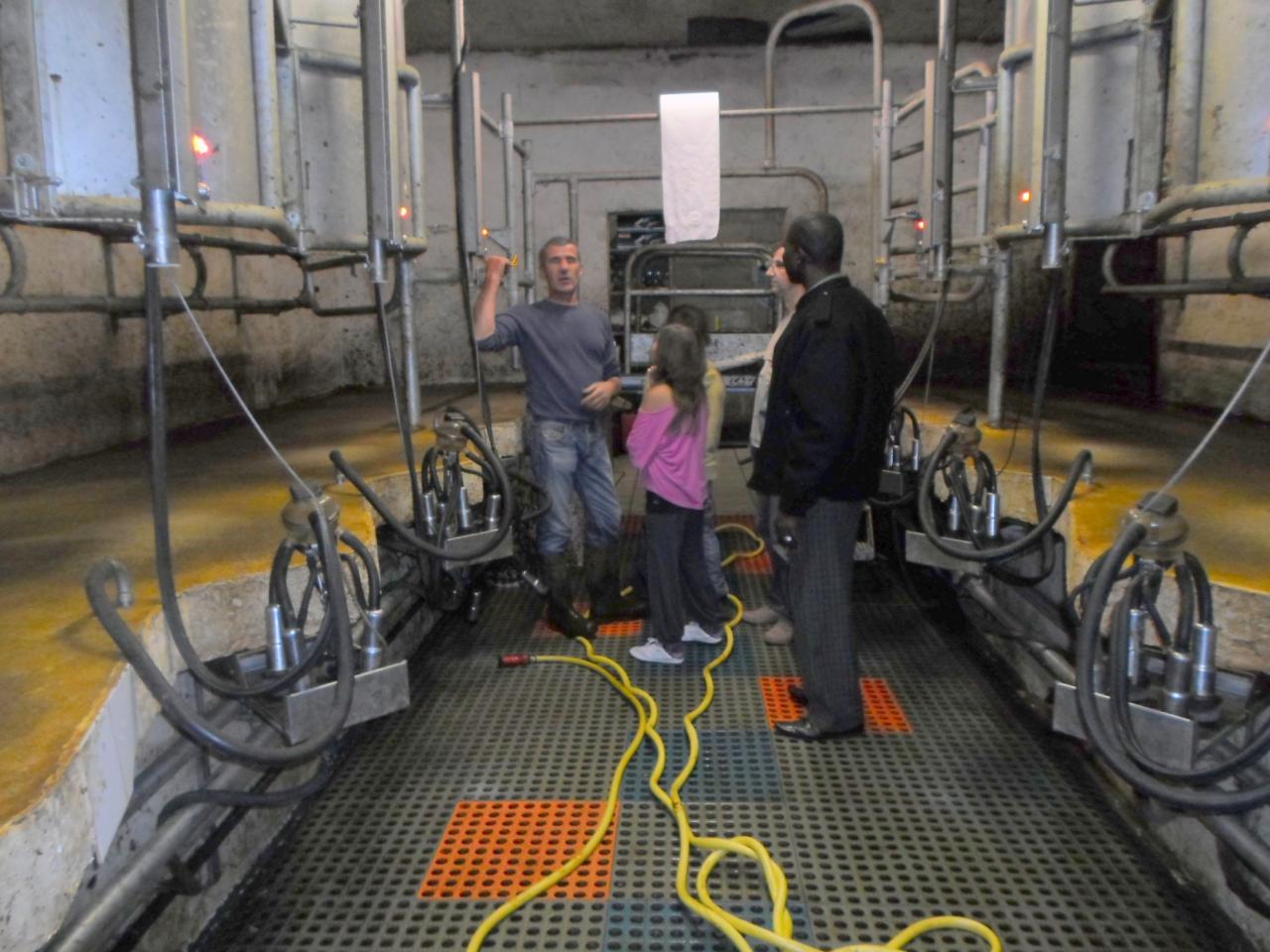 Visite de la ferme laitière Navarro à Polminhac